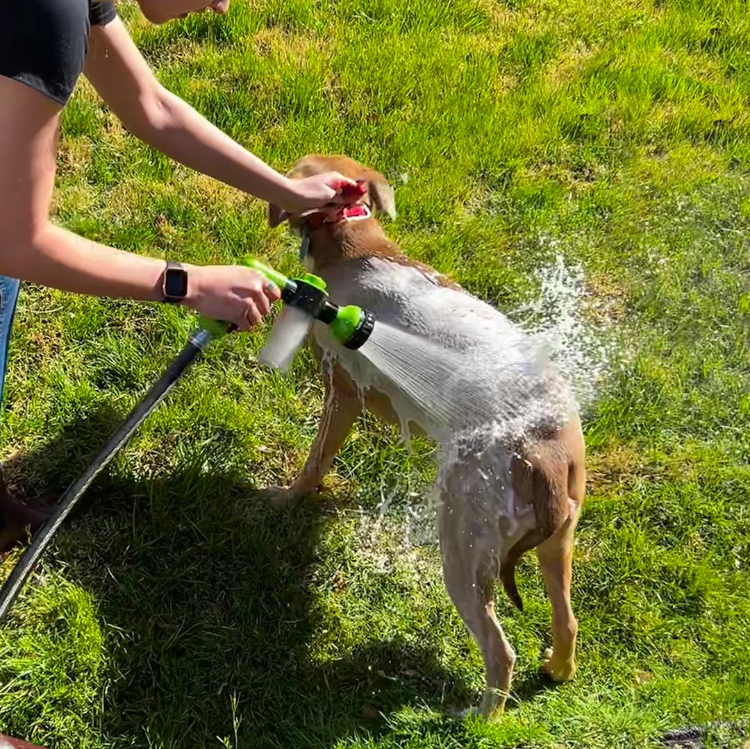 PuppyJet™ - In Één Handomdraai Schoon