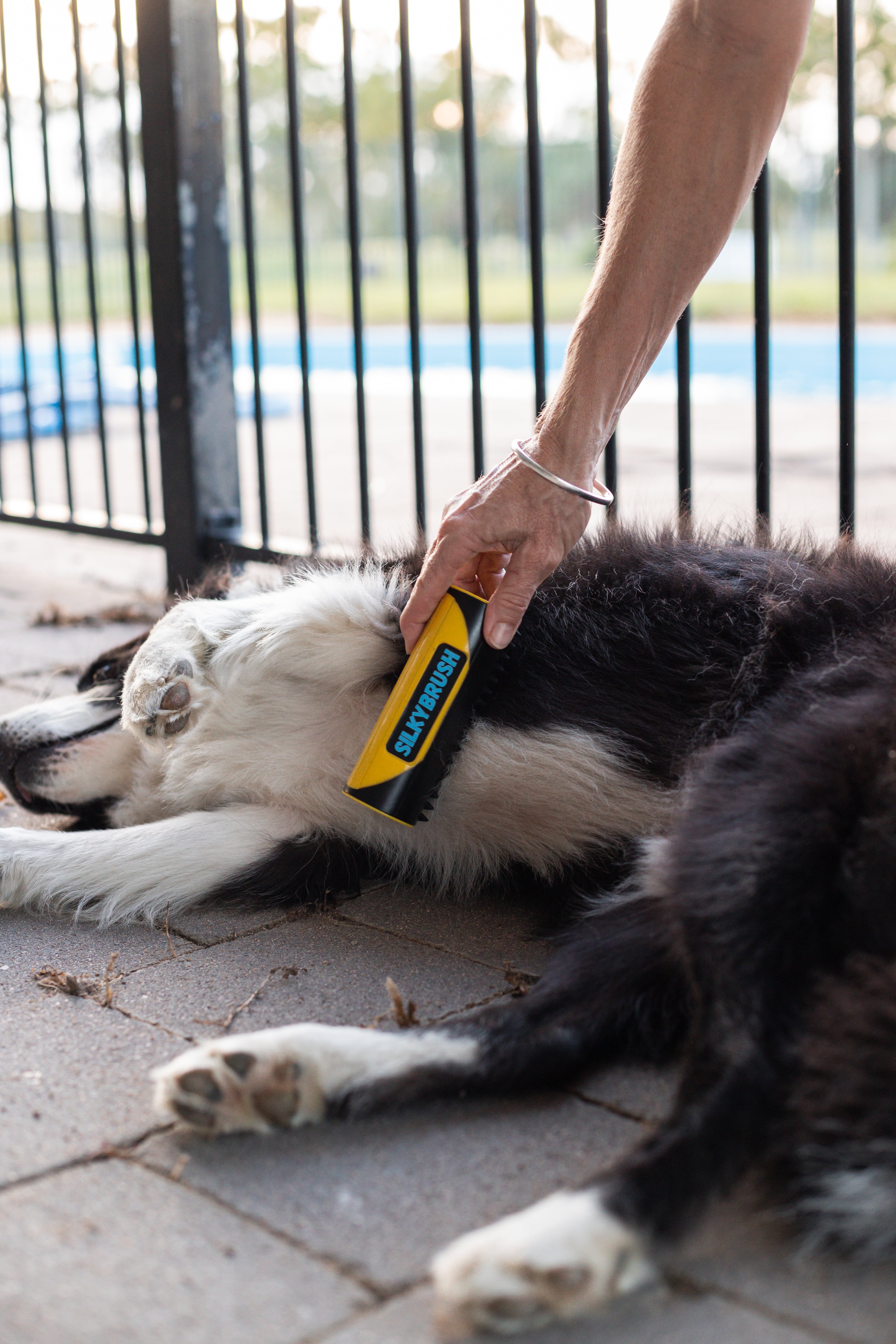 SilkyBrush™ - De Efficiëntste Dierenkam Tot Nu Toe